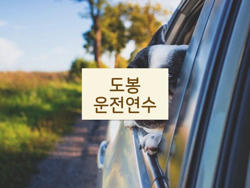 도봉운전연수 후기