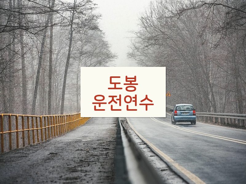 도봉운전연수 후기