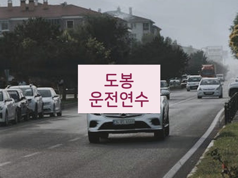 도봉운전연수 후기