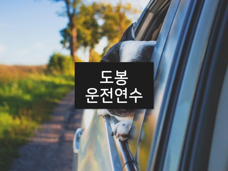 도봉운전연수 후기