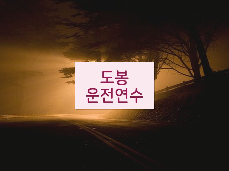 도봉운전연수 후기