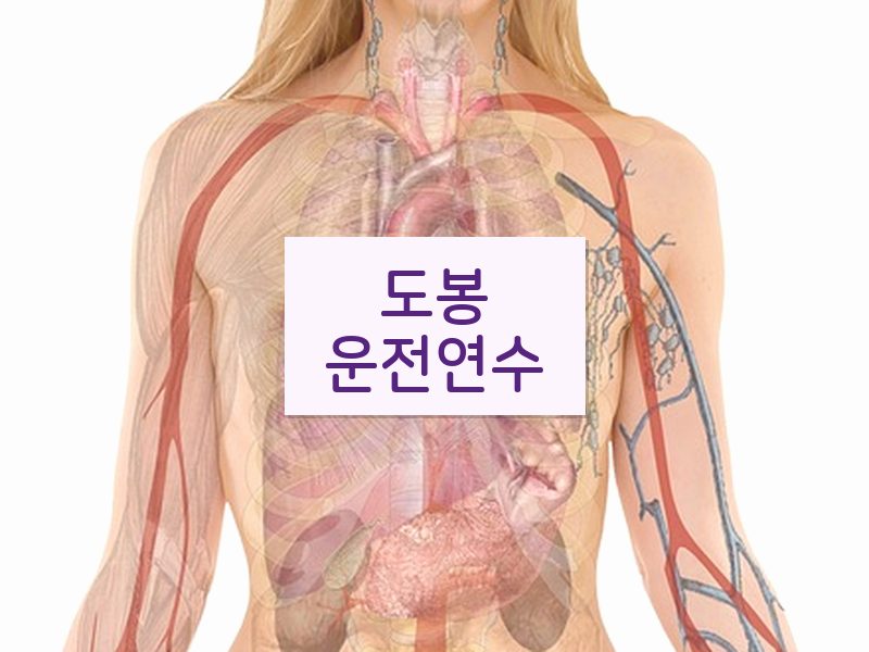 도봉운전연수 후기