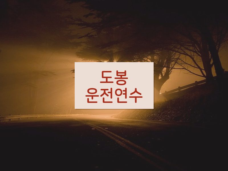도봉운전연수 후기