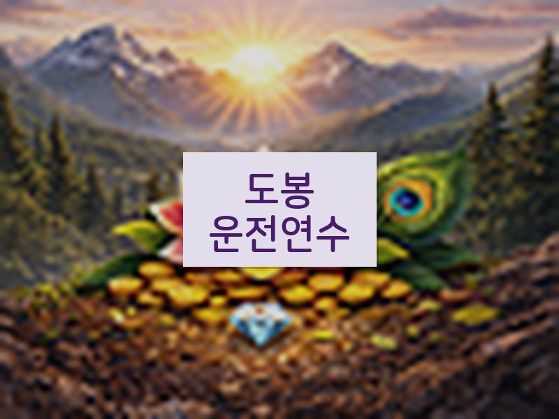 도봉운전연수 후기