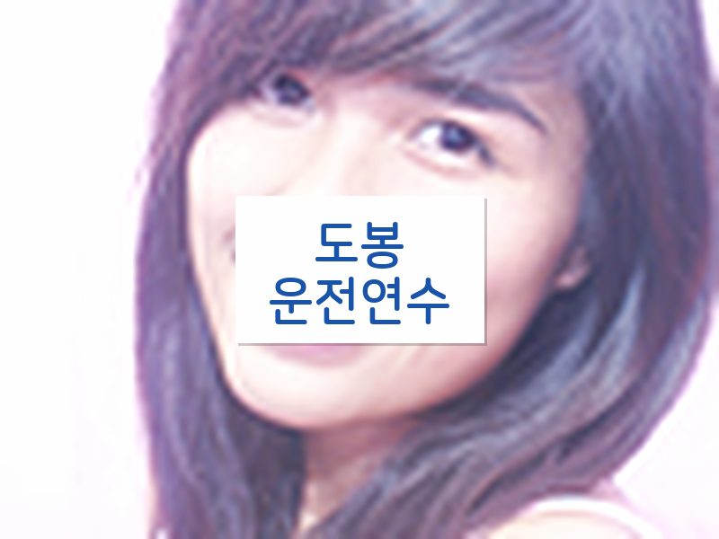 도봉운전연수 후기