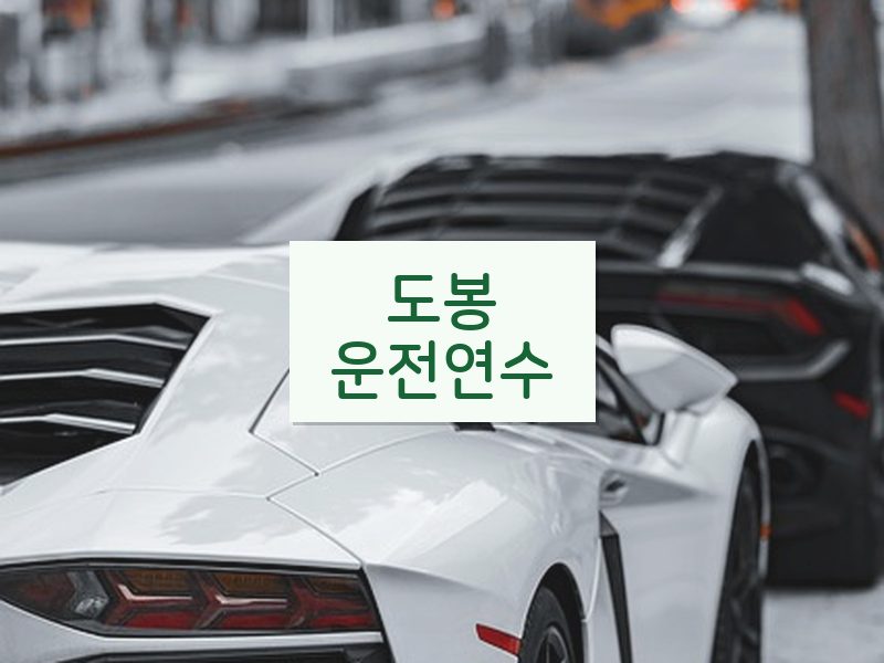 도봉운전연수 후기