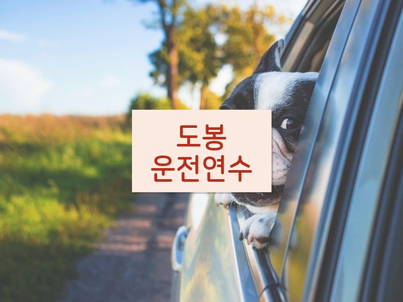 도봉운전연수 후기