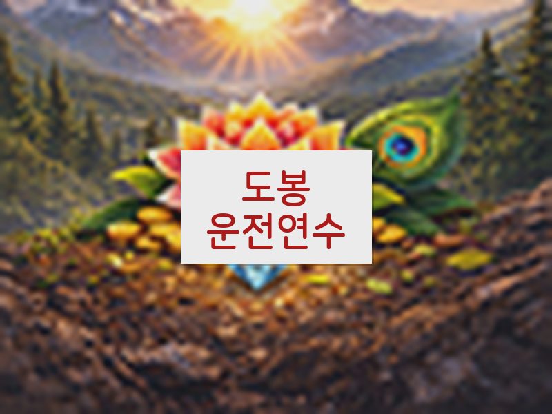 도봉운전연수 후기