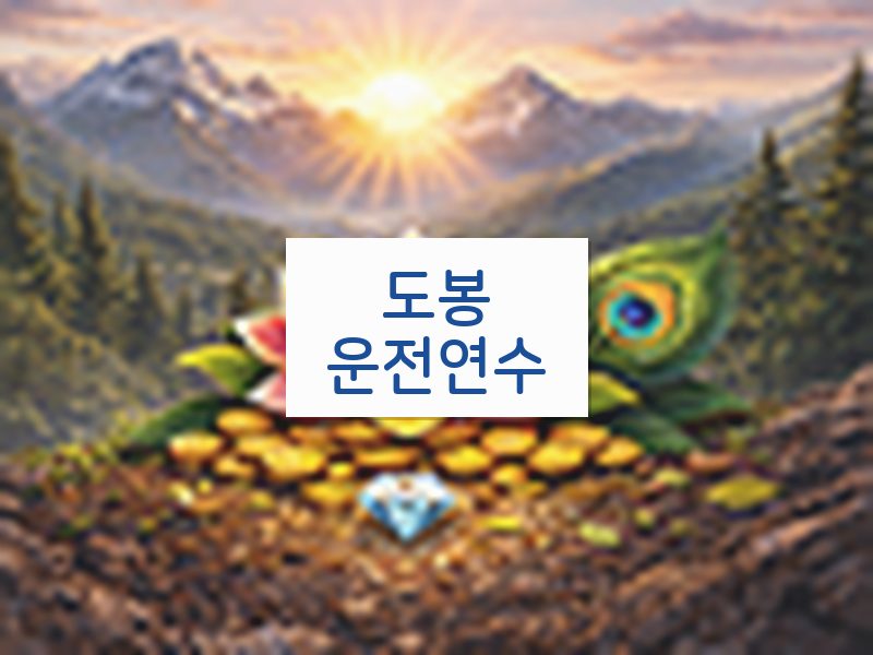 도봉운전연수 후기