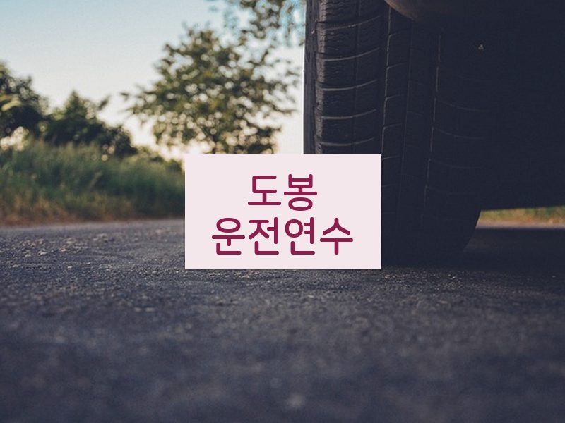 도봉운전연수 후기
