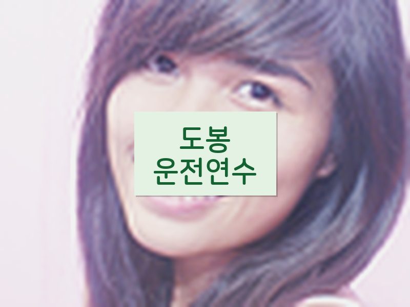 도봉운전연수 후기