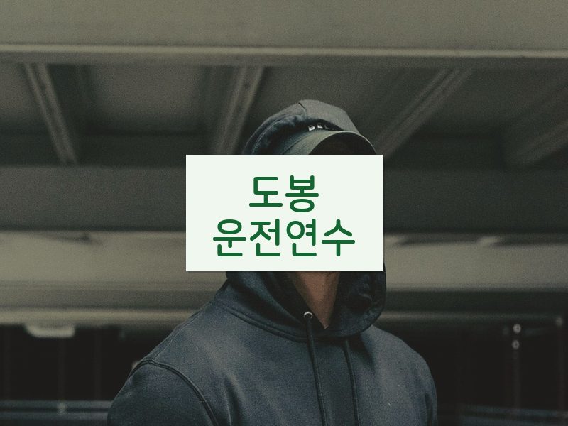 도봉운전연수 후기