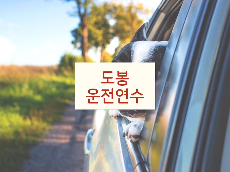 도봉운전연수 후기