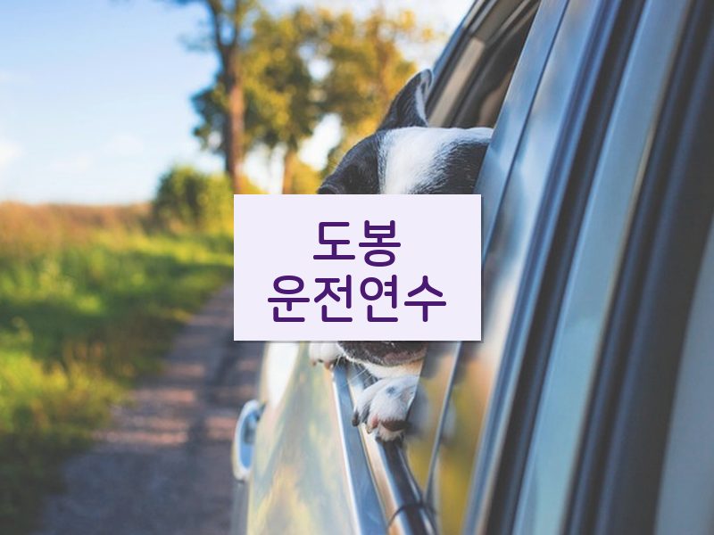 도봉운전연수 후기