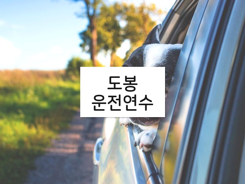 도봉운전연수 후기