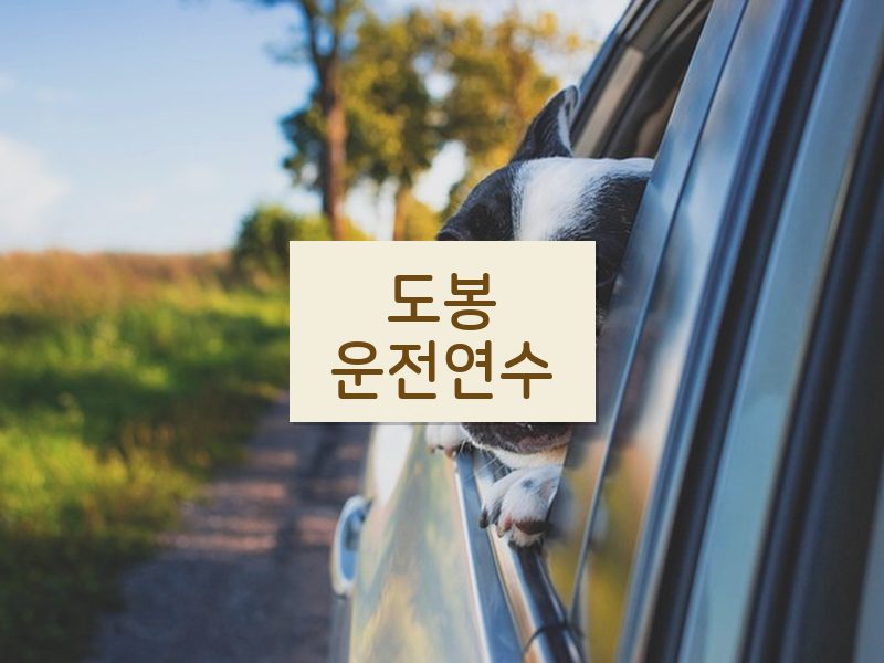 도봉운전연수 후기