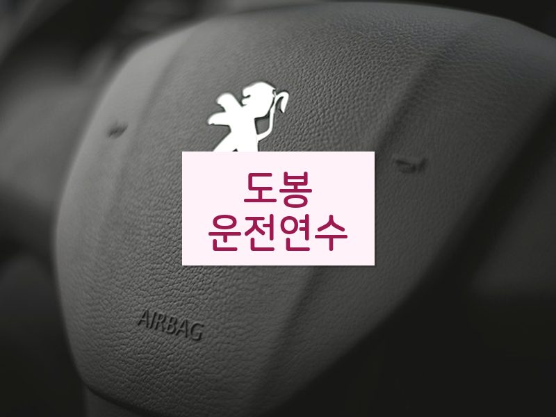 도봉운전연수 후기