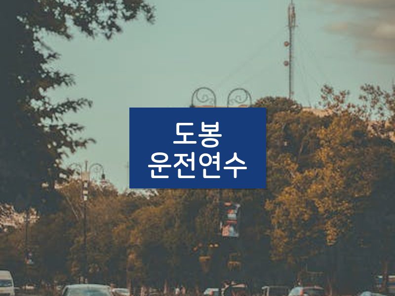 도봉운전연수 후기