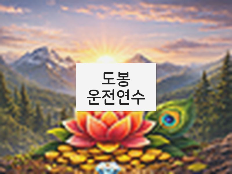 도봉운전연수 후기