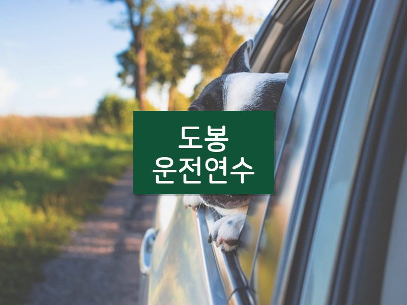 도봉운전연수 후기
