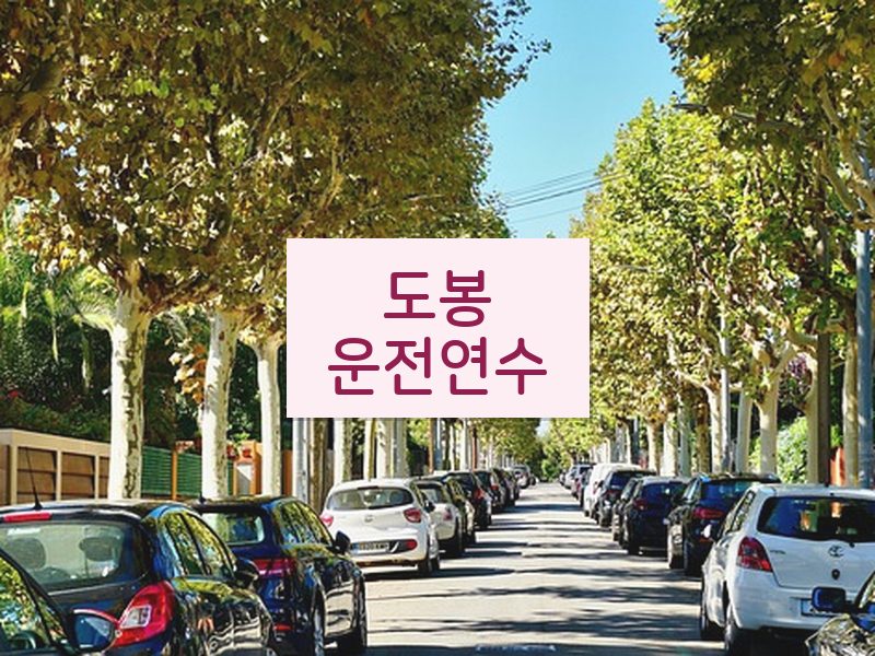 도봉운전연수 후기