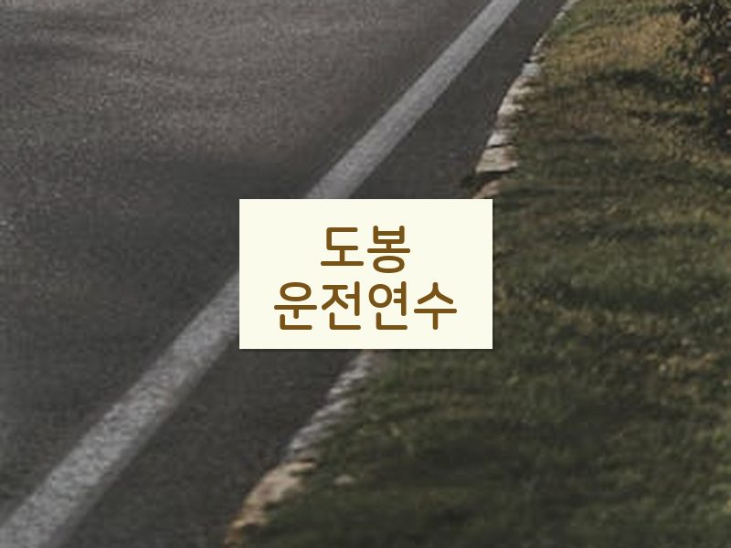 도봉운전연수 후기