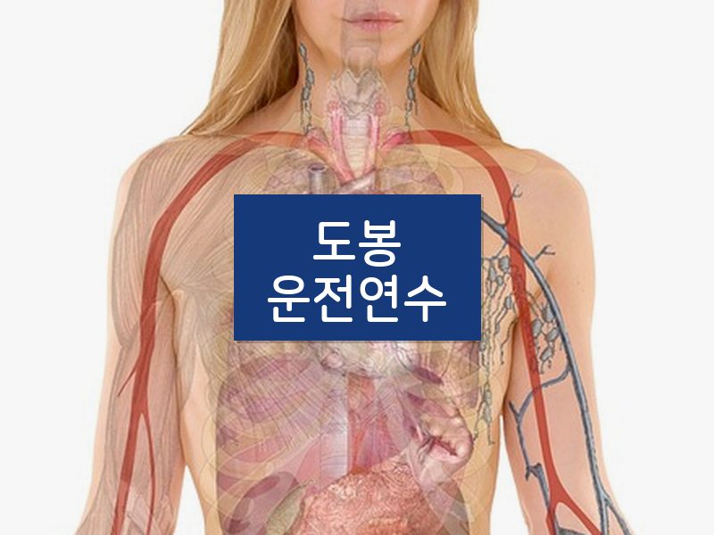 도봉운전연수 후기