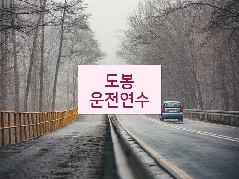 도봉운전연수 후기