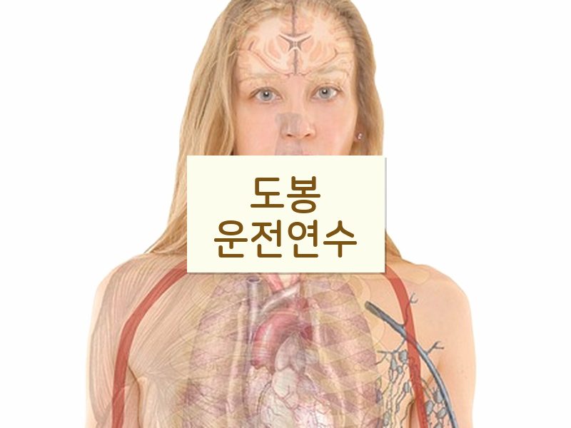 도봉운전연수 후기