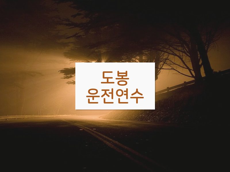 도봉운전연수 후기