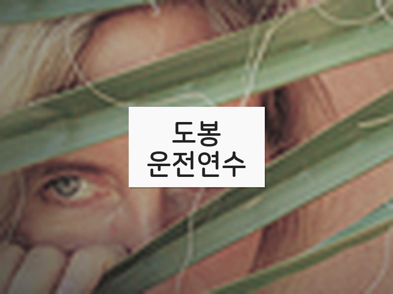 도봉운전연수 후기