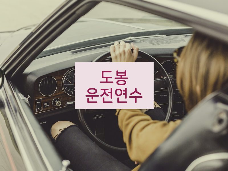 도봉운전연수 후기