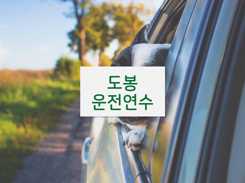 도봉운전연수 후기