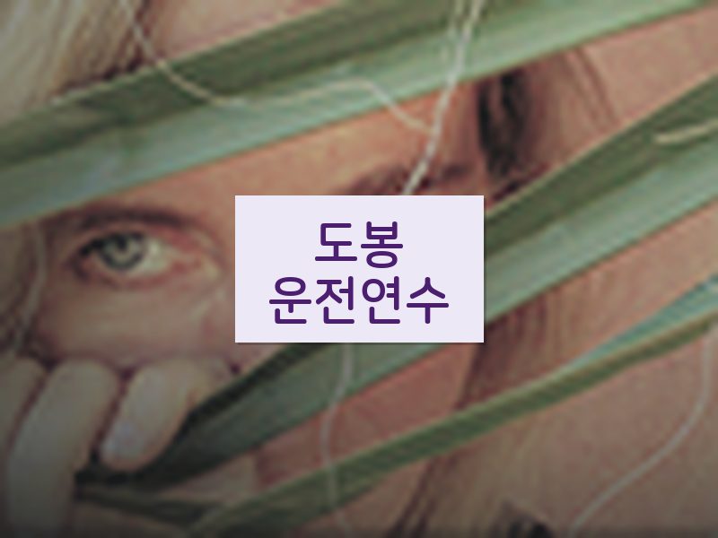 도봉운전연수 후기