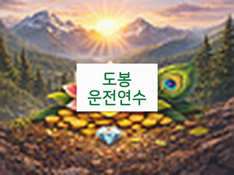 도봉운전연수 후기
