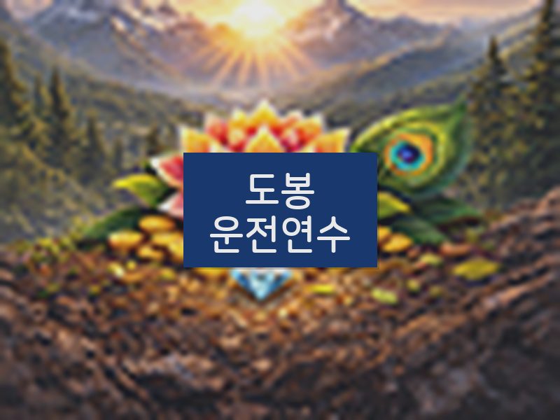 도봉운전연수 후기